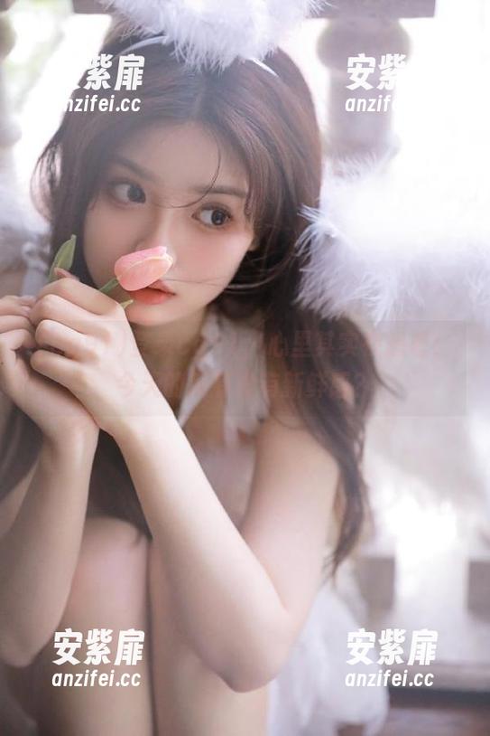 登录cg91，心里其实在想着：今天的瓜有没有新鲜感？