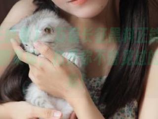 “万篇长征黑料正能量”之前的资源集锦，拉开你不曾见过的往期档案！