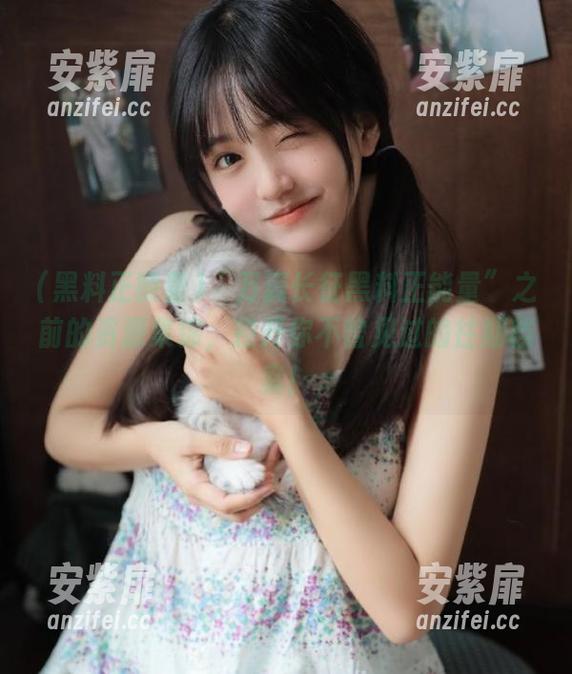 “万篇长征黑料正能量”之前的资源集锦，拉开你不曾见过的往期档案！